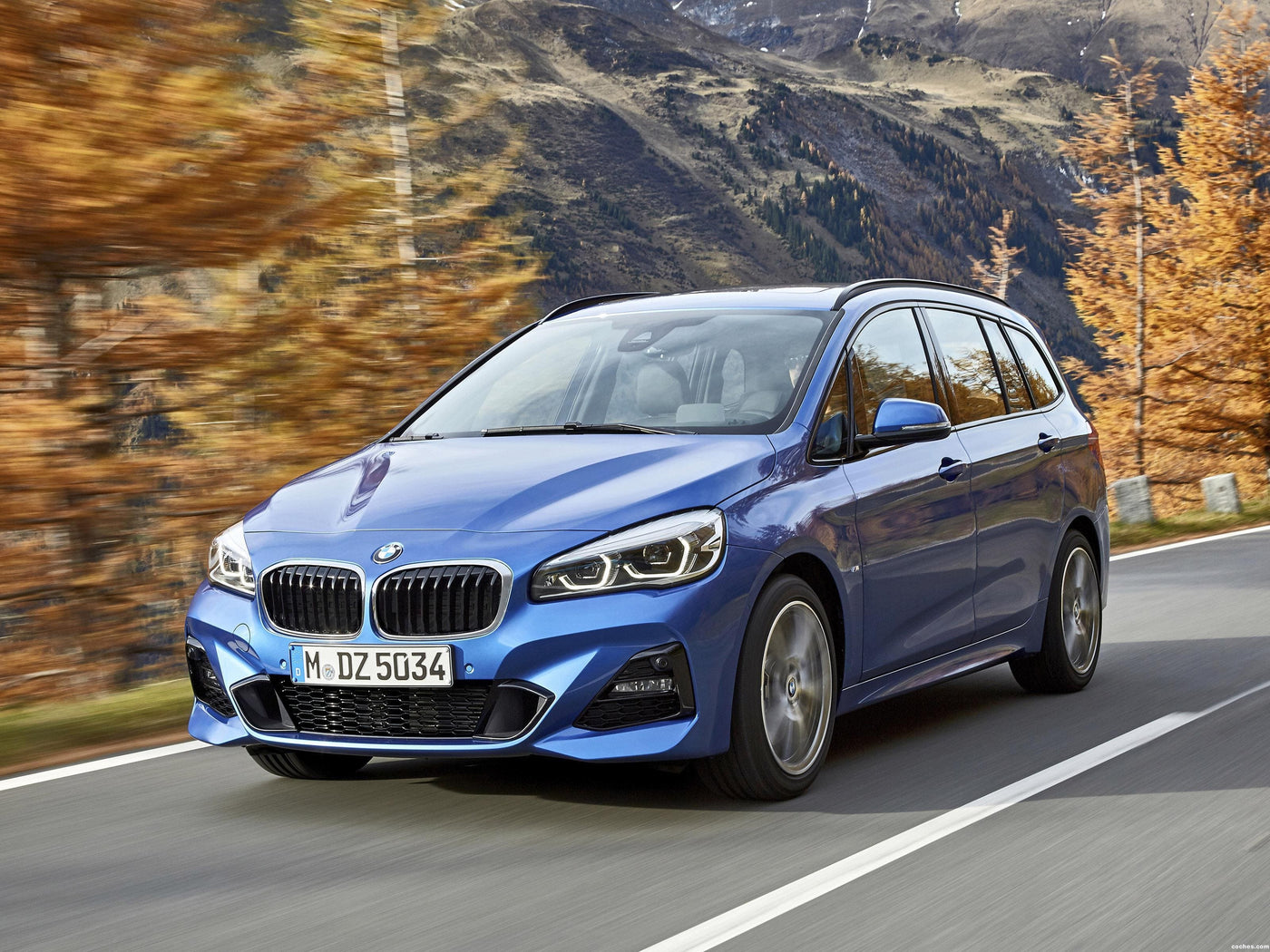 Fußmatten BMW 2 F46 5 Sitzer (2015-2025)