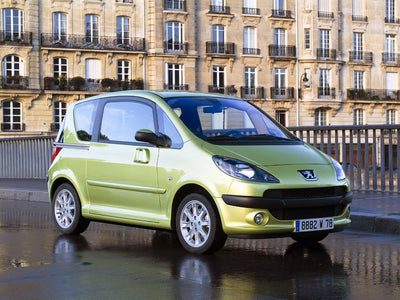 Fußmatten Peugeot 1007 (2005-2009)