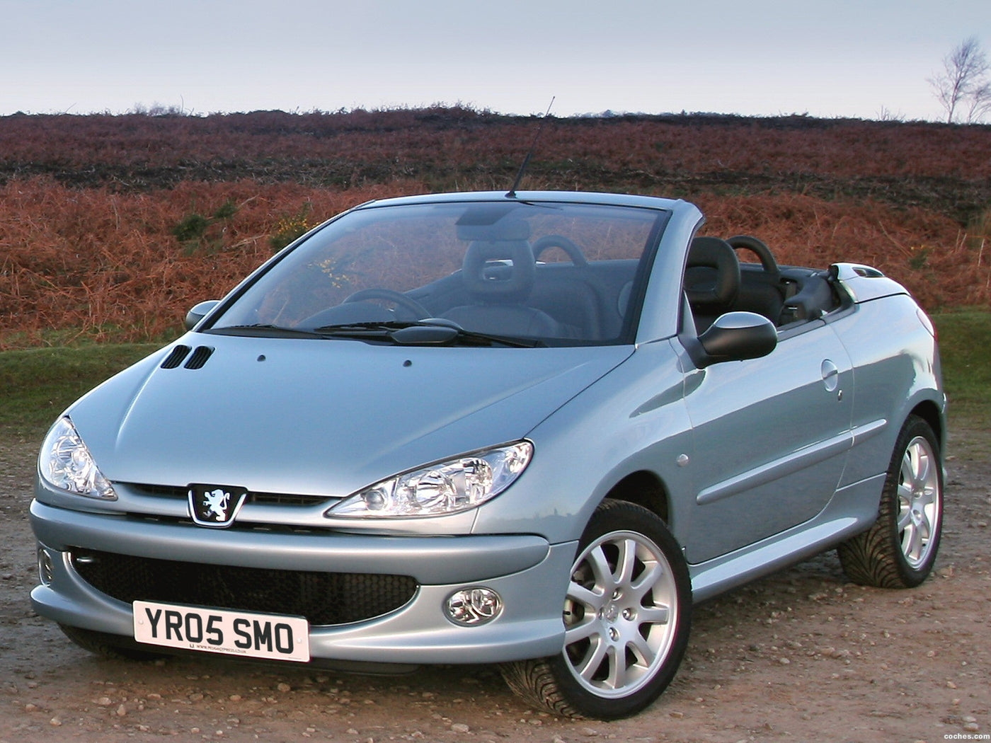 Fußmatten Peugeot 206 CC (2001-2007)